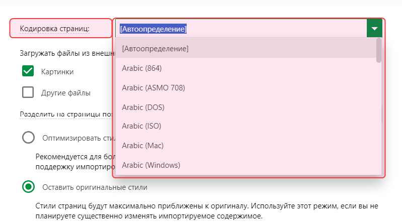 Опция «Кодировка страниц» в Мастере импорта проектов