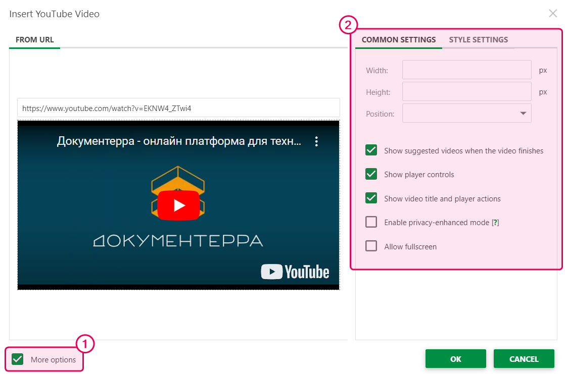 Чтобы настроить дополнительные параметры, установите галочку «Дополнительные параметры» в диалоговом окне «Вставить видео с YouTube»