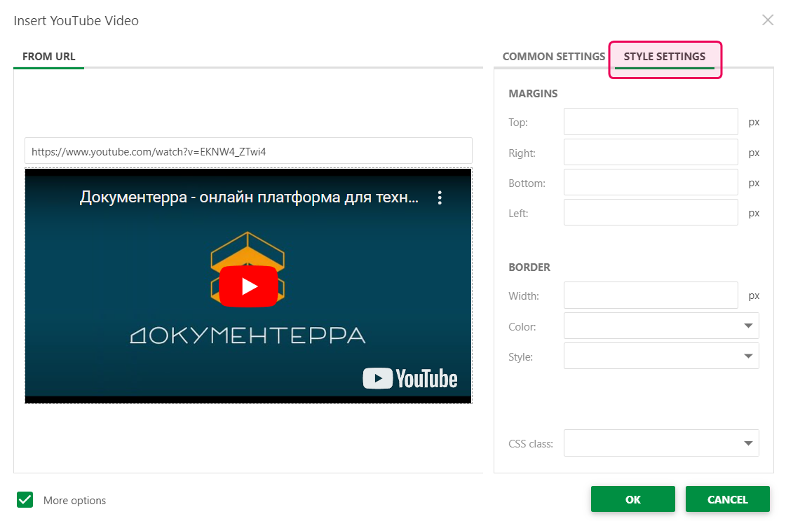 Настройки стиля в диалоговом окне «Вставить видео»