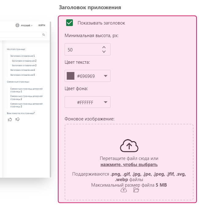 Раздел «Заголовок приложения» в настройках читательского интерфейса