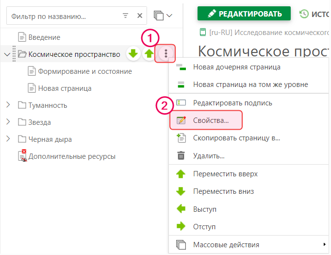Перейдите к свойствам страницы через элемент в Дереве страниц.